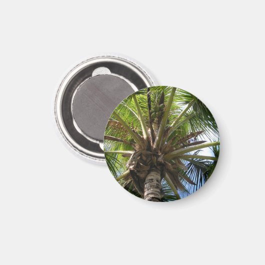 Coconut Palm Magnet (Vorderseite/Rückseite)