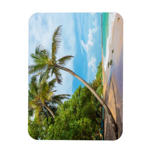 Coconut Palm, Mirissa Beach | Sri Lanka Magnet (Vertikal)