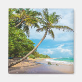 Coconut Palm, Mirissa Beach | Sri Lanka Magnet (Vorne)