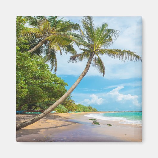 Coconut Palm, Mirissa Beach | Sri Lanka Magnet (Vorne)