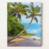 Coconut Palm, Mirissa Beach | Sri Lanka Planer (Rückseite)