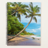Coconut Palm, Mirissa Beach | Sri Lanka Planer (Vorderseite)