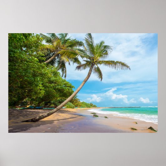 Coconut Palm, Mirissa Beach | Sri Lanka Poster (Vorne)