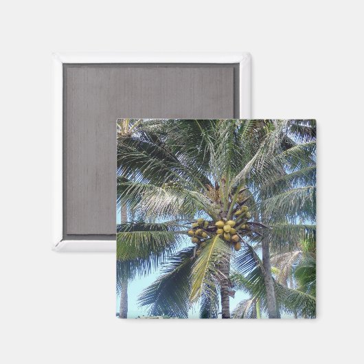 Coconut Palm Oahu Magnet (Vorderseite/Rückseite)