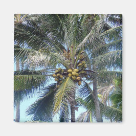 Coconut Palm Oahu Magnet