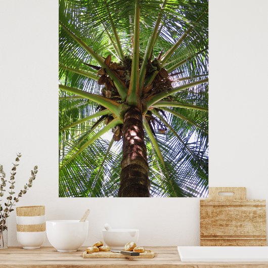 Coconut Palm Poster (Küche)