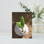 Coconut Palm Postkarte (Stehend Vorderseite)