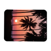 Coconut Palm Tree Landschaft Magnet (Horizontal)