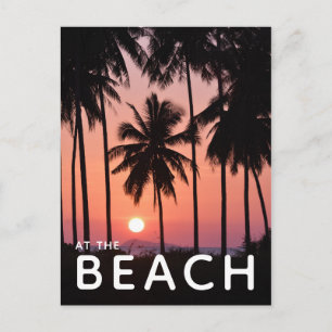 Coconut Palm Tree Landschaft Postkarte