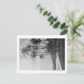 Coconut Palms - Hawaiianische Inseln Fotografie Postkarte (Stehend Vorderseite)