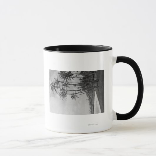 Coconut Palms - Hawaiianische Inseln Fotografie Tasse (Rechts)