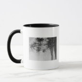 Coconut Palms - Hawaiianische Inseln Fotografie Tasse (Links)