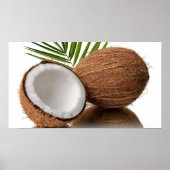 Coconut Poster (Vorne)