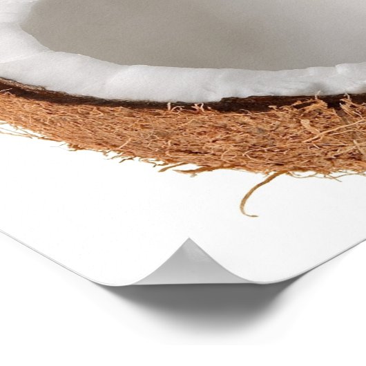 Coconut Poster (Ecke)