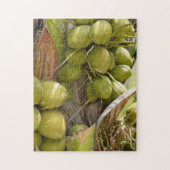 Coconut Puzzle (Vertikal)
