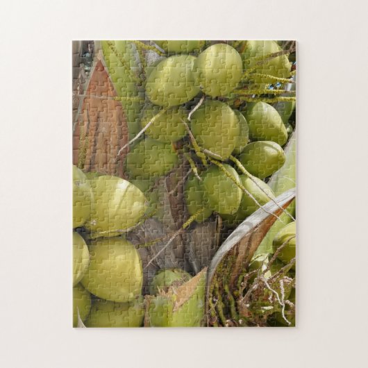 Coconut Puzzle (Vertikal)