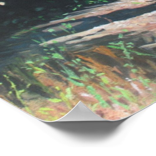 Coconut Shade 2014 Poster (Ecke)