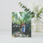 Coconut Shade 2014 Postkarte (Stehend Vorderseite)