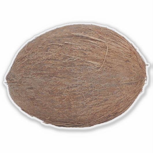 Coconut Sticker (Vorderseite)