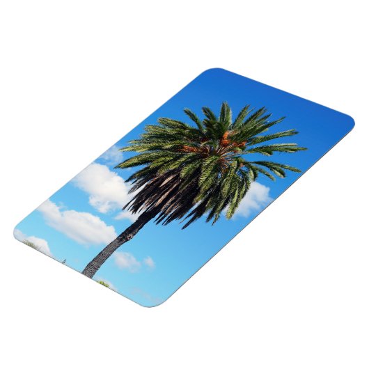 Coconut Tree Foto Magnet (Linke Seite)