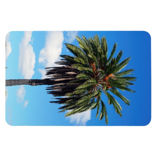 Coconut Tree Foto Magnet (Horizontal)