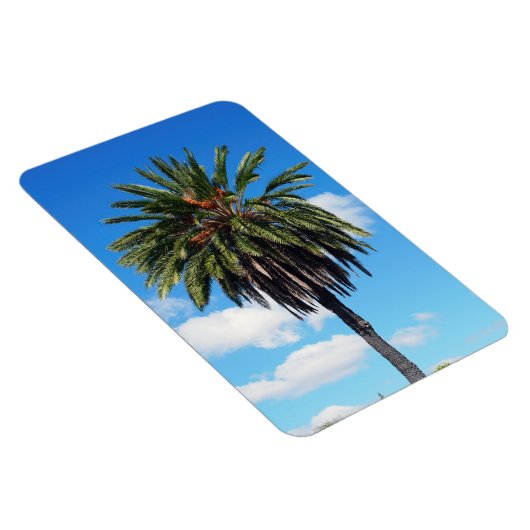 Coconut Tree Foto Magnet (Rechte Seite)