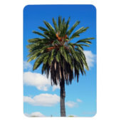 Coconut Tree Foto Magnet (Vertikal)