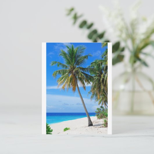 Coconut Tree Postkarte (Stehend Vorderseite)