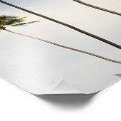 Coconut Trees Brasilien Foto drucken (Ecke)