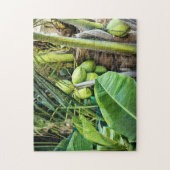 Coconut Trees Tropical Jungfrau Islands Karibik Puzzle (Vertikal)