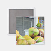 Coconut Water Key West FL Coconuts Magnet (Vorderseite/Rückseite)