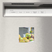 Coconut Water Key West FL Coconuts Magnet (In Situ (Geschirrspüler))