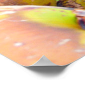 Coconut Water Key West FL Kokosnüsse Poster (Ecke)