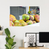 Coconut Water Key West FL Kokosnüsse Poster (Heimbüro)