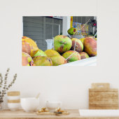 Coconut Water Key West FL Kokosnüsse Poster (Küche)