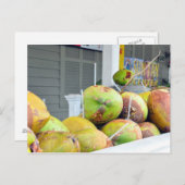 Coconut Water Key West FL Kokosnüsse Postkarte (Vorne/Hinten)