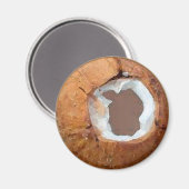 Coconut Watercolor - Magnet (Vorderseite/Rückseite)