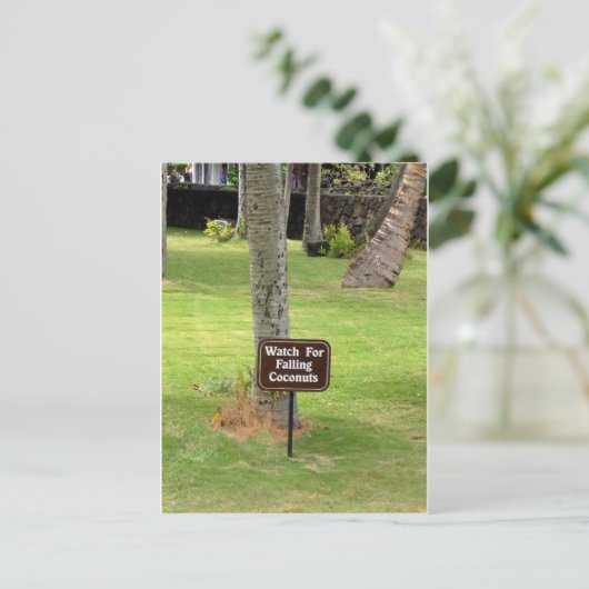 Coconuts Hawaii Warnzeichen Postkarte (Stehend Vorderseite)