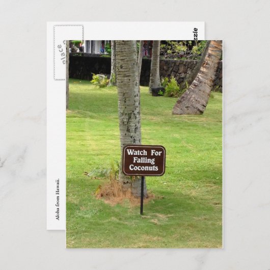 Coconuts Hawaii Warnzeichen Postkarte (Vorne/Hinten)