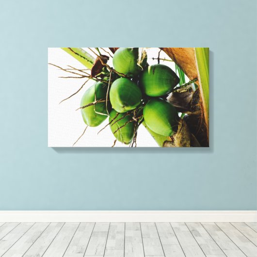 Coconuts ~ Karibik Leinwanddruck (Insitu (Holzboden))