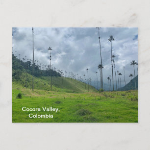 Cocora Valley, Kolumbien Postkarte
