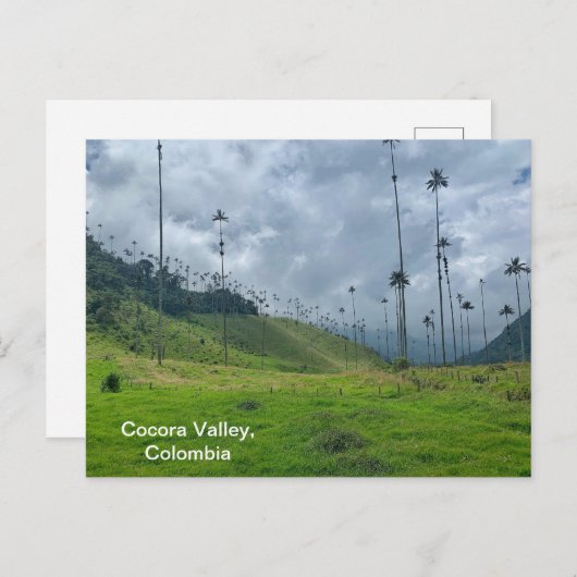 Cocora Valley, Kolumbien Postkarte (Vorne/Hinten)