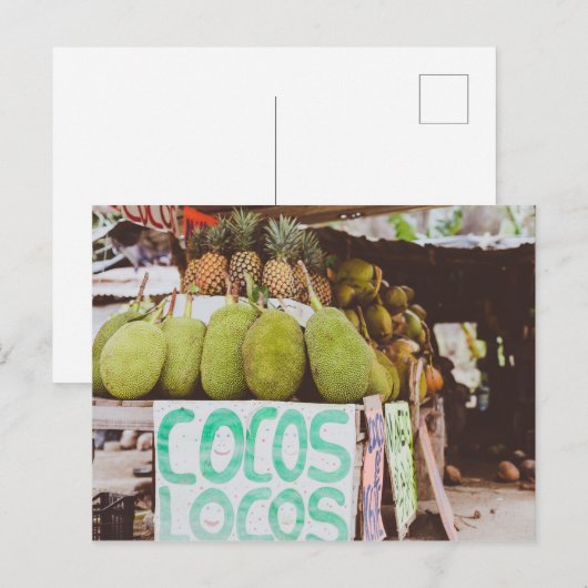 Cocos Locos Postkarte (Vorne/Hinten)