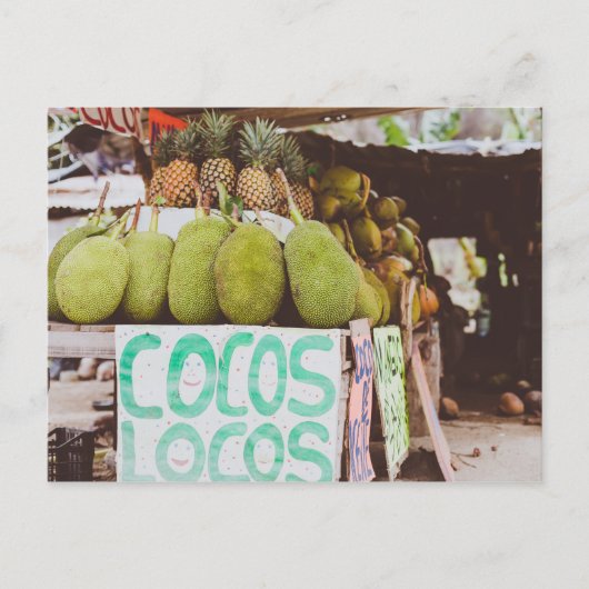 Cocos Locos Postkarte (Vorderseite)