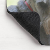 Cocos, MiniSchnauzer mousepad (Ecke)