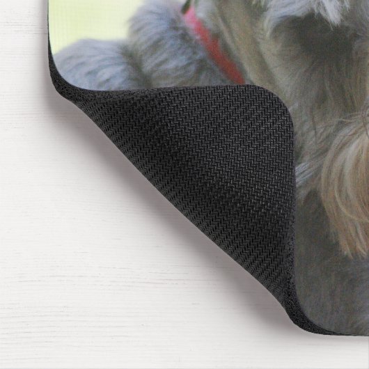 Cocos, MiniSchnauzer mousepad (Ecke)
