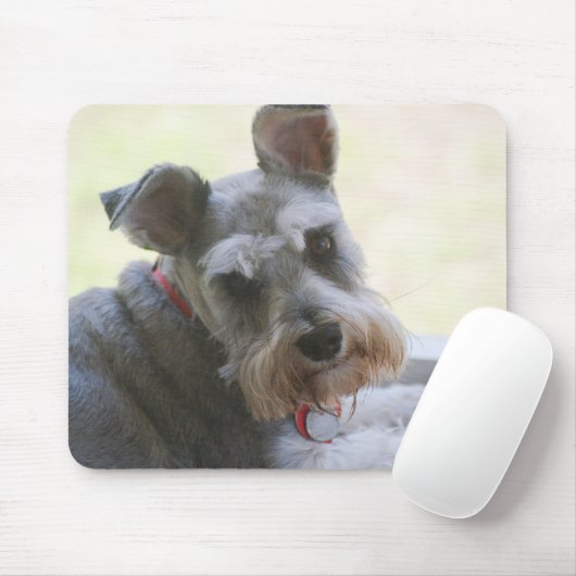 Cocos, MiniSchnauzer mousepad (Mit Mouse)