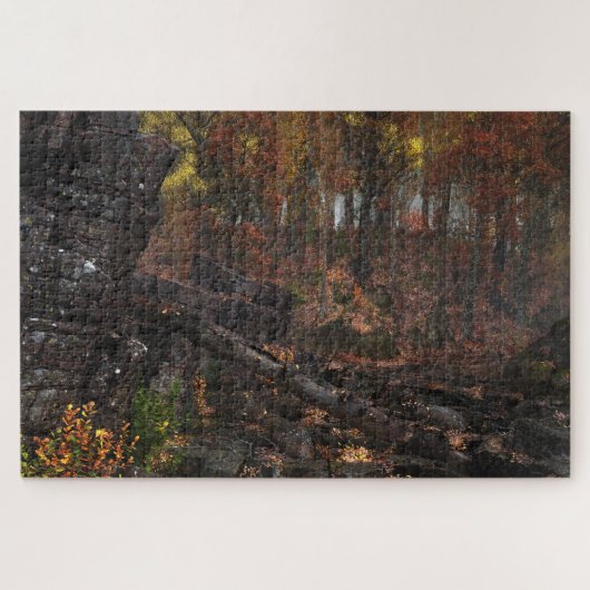 Coda Puzzle (Horizontal)