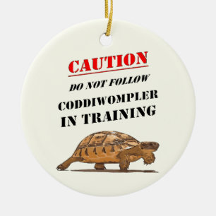 Coddiwompler in Ausbildung Reisende Schildkröte Keramik Ornament