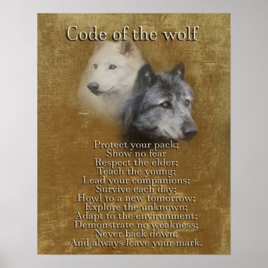 Code des Wolfs Poster (Vorne)